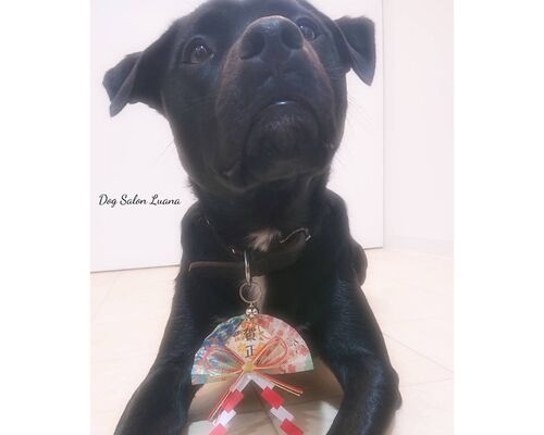 20-12-31-17-11-02-919_deco