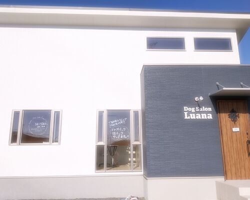 IMG_20210121_115424_256