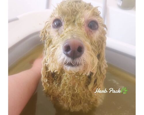 21-02-11-16-03-15-028_deco