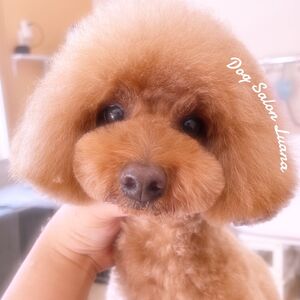 DBDA6531-6422-42D3-8D84-C39D7673FD5B