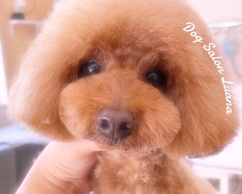 DBDA6531-6422-42D3-8D84-C39D7673FD5B