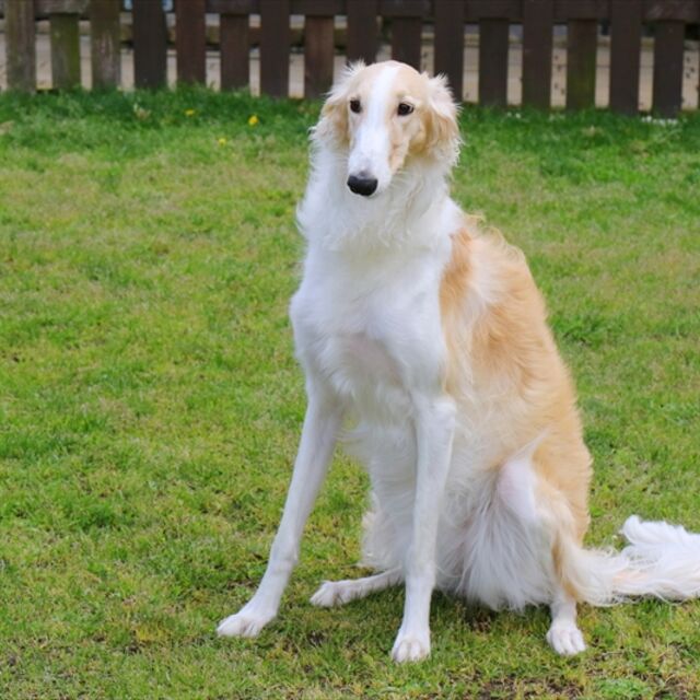 AdobeStock_201955645