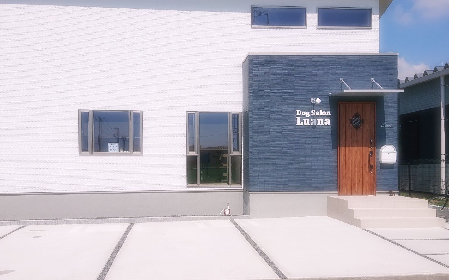 わたあめカメラ_20200912_160332[7]